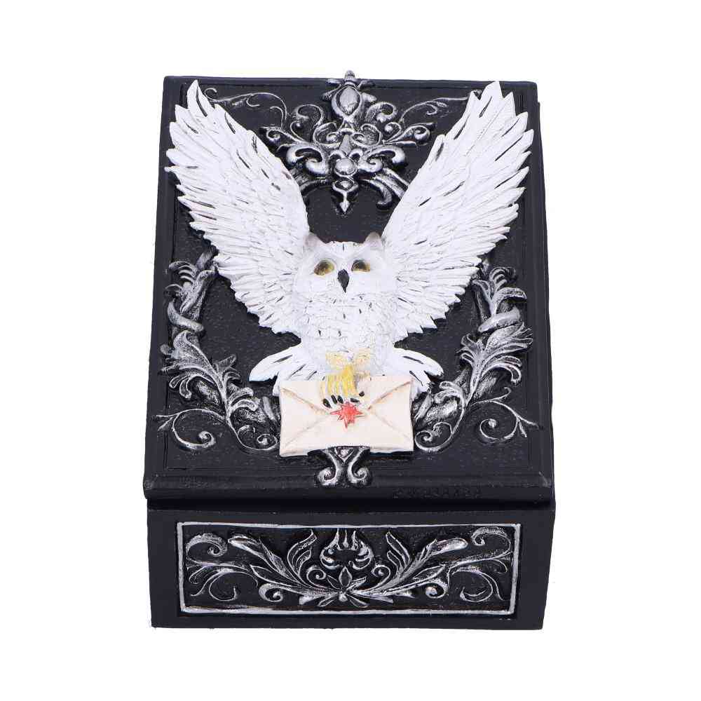 Nemesis Now - Owl Messenger Dekorative Schachtel - Mehrfarben